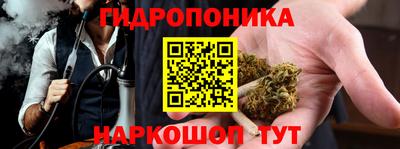спайс Малгобек