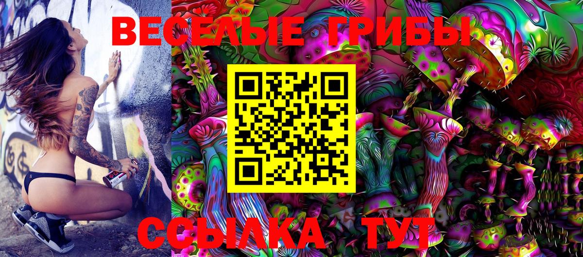 Галлюциногенные грибы Psilocybe  Вход с VPN  Камень-на-Оби  Галлюциногенные грибы Magic Shrooms 